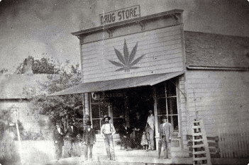 Wisconsin cannabis history